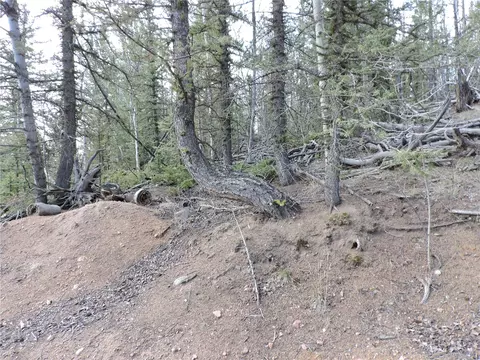 258 Old Squaw Rd, Como, CO 80432
