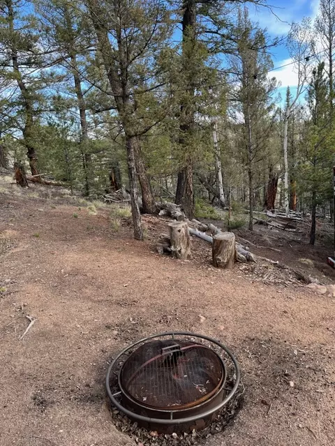 258 Old Squaw Rd, Como, CO 80432 photo 6