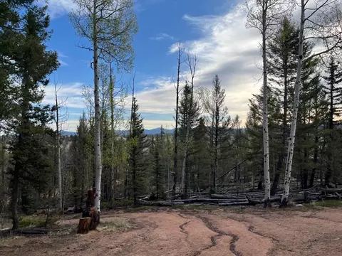 258 Old Squaw Rd, Como, CO 80432 photo 22
