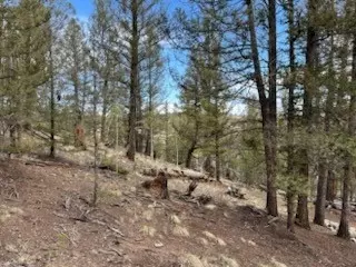 258 Old Squaw Rd, Como, CO 80432 photo 9