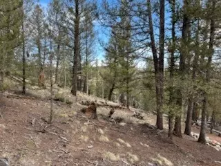 258 Old Squaw Rd, Como, CO 80432 photo 19