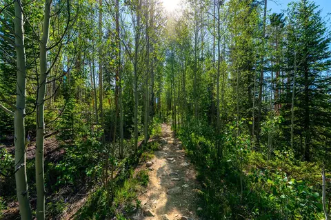 123 Westerman Rd, Breckenridge, CO 80424 photo 40
