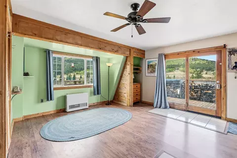174 County Road 4, Alma, CO 80420