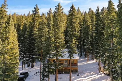 0516 County Road 674, Breckenridge, CO 80424