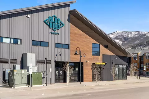 Other - 1121 Rainbow Dr, Silverthorne, CO 80498 photo 10 of 11