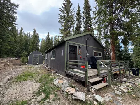 219 Ansley Ave, Fairplay, CO 80440