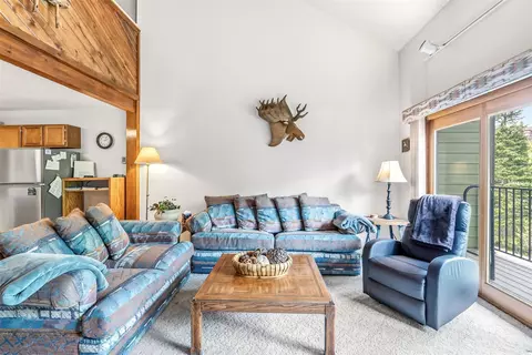 Living - 10500 Ryan Gulch Rd #J-104, Silverthorne, CO 80498 photo 3 of 4