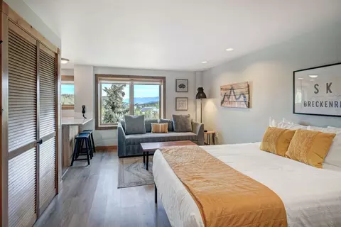 535 S Park Ave #317, Breckenridge, CO 80424