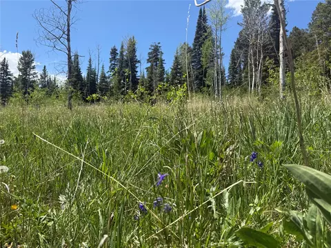 tbd Spring Creek Ranch Rd, Silverthorne, CO 80498 photo 21