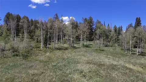 tbd Spring Creek Ranch Rd, Silverthorne, CO 80498 photo 36