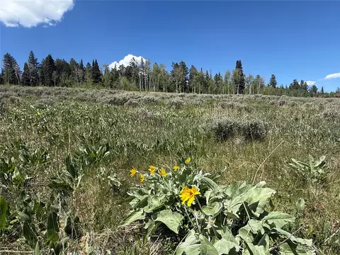 tbd Spring Creek Ranch Rd, Silverthorne, CO 80498 photo 32