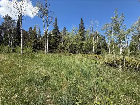 tbd Spring Creek Ranch Rd, Silverthorne, CO 80498 photo 23