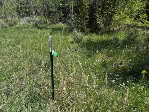 tbd Spring Creek Ranch Rd, Silverthorne, CO 80498 photo 22