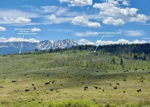 tbd Spring Creek Ranch Rd, Silverthorne, CO 80498