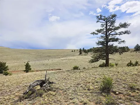 Pcs #24131 Chato Road, Hartsel, CO 80449
