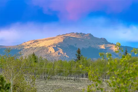 Other - 847 Palomino Rd, Como, CO 80432 photo 13 of 13