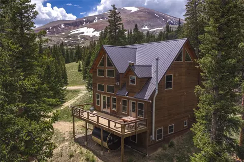 62 Lazy Rex Rd, Alma, CO 80420