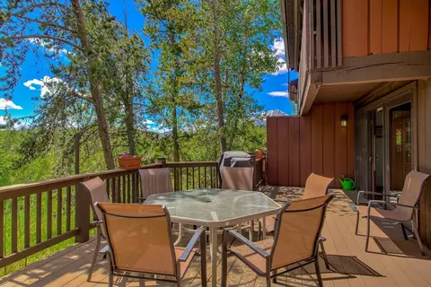 62 Salt Lick Cir #62, Silverthorne, CO 80498