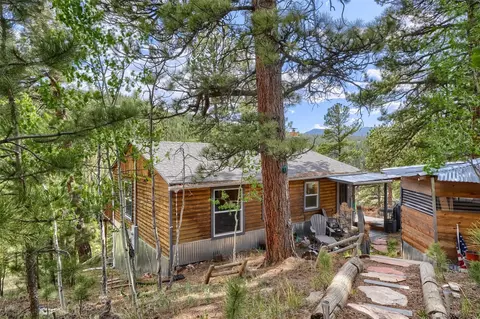 226 Hall Rd, Bailey, CO 80421