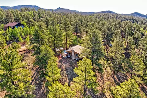 View/Area - 226 Hall Rd, Bailey, CO 80421 photo 2 of 6