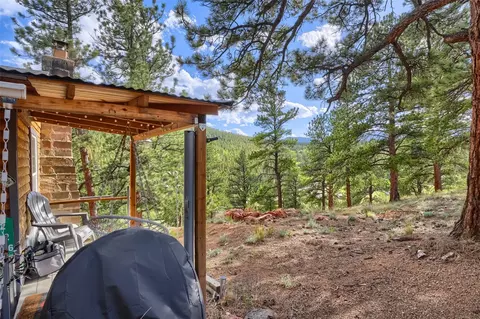 Exterior - 226 Hall Rd, Bailey, CO 80421 photo 3 of 10