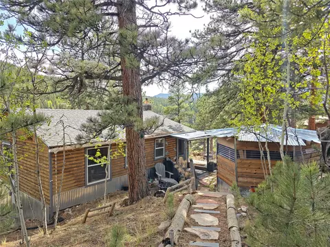 226 Hall Rd, Bailey, CO 80421