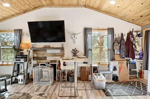 Living - 226 Hall Rd, Bailey, CO 80421 photo 4 of 4