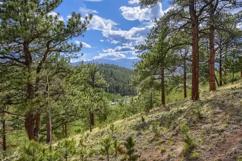 Other - 226 Hall Rd, Bailey, CO 80421 photo 4 of 7