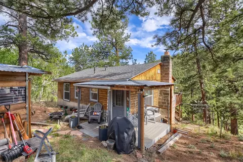 Exterior - 226 Hall Rd, Bailey, CO 80421 photo 2 of 10