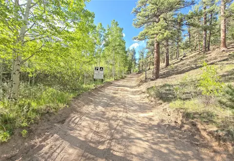 Exterior - 226 Hall Rd, Bailey, CO 80421 photo 10 of 10