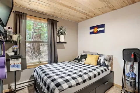 Bedroom - 226 Hall Rd, Bailey, CO 80421 photo 3 of 3