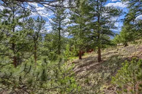 Other - 226 Hall Rd, Bailey, CO 80421 photo 6 of 7