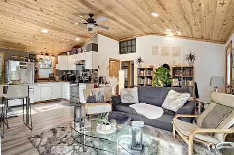 Living - 226 Hall Rd, Bailey, CO 80421 photo 1 of 4