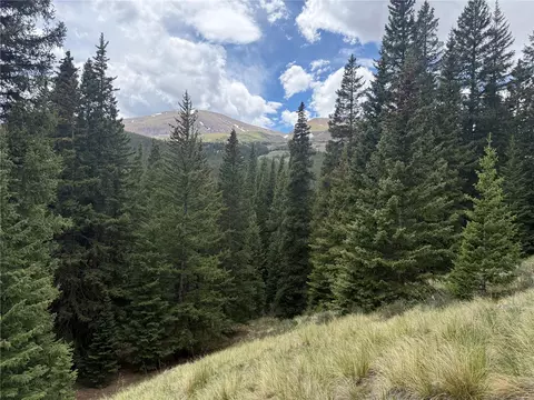 1081 Nuthatch Dr, Alma, CO 80420