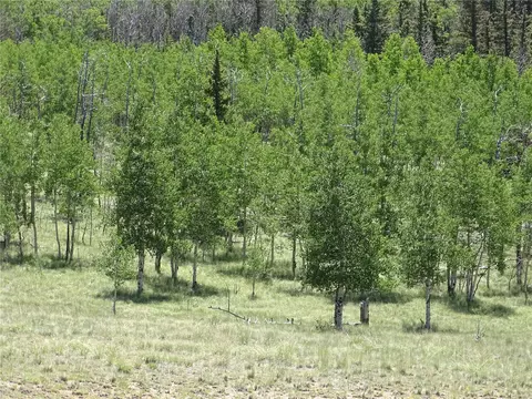 782 Bowstring Rd, Como, CO 80432 photo 21