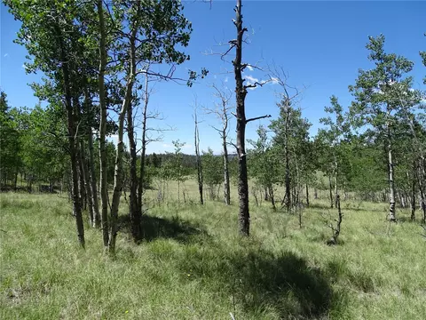 782 Bowstring Rd, Como, CO 80432 photo 8
