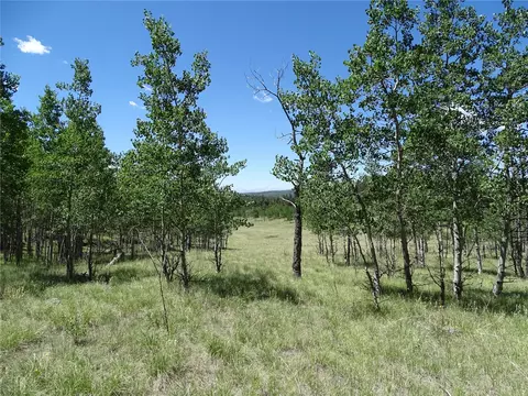 782 Bowstring Rd, Como, CO 80432 photo 2