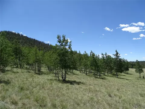 782 Bowstring Rd, Como, CO 80432 photo 19