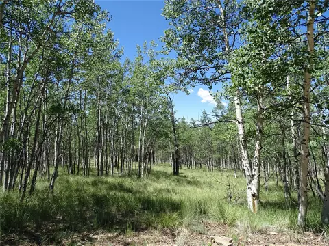782 Bowstring Rd, Como, CO 80432 photo 5