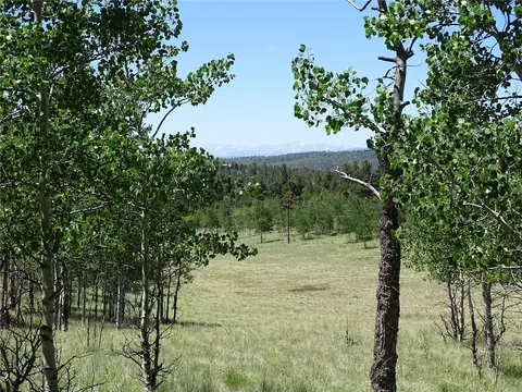 782 Bowstring Rd, Como, CO 80432 photo 4