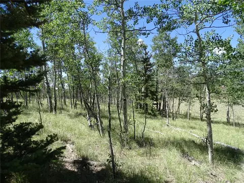 782 Bowstring Rd, Como, CO 80432 photo 12