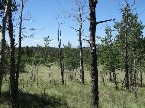782 Bowstring Rd, Como, CO 80432 photo 3