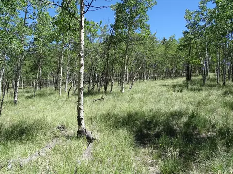 782 Bowstring Rd, Como, CO 80432 photo 7