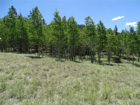 782 Bowstring Rd, Como, CO 80432 photo 16
