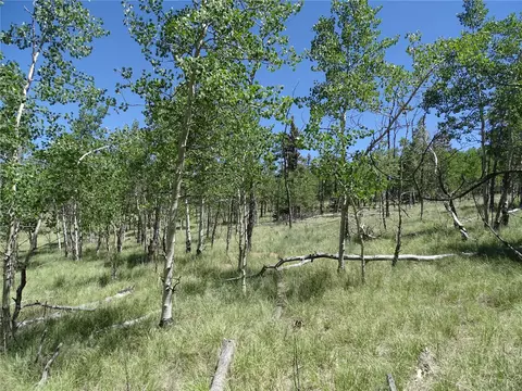 782 Bowstring Rd, Como, CO 80432 photo 13