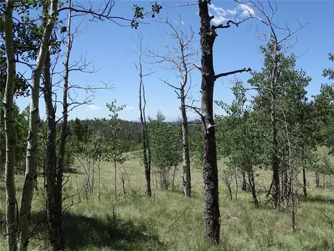 782 Bowstring Rd, Como, CO 80432 photo 9