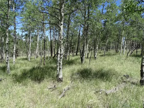 782 Bowstring Rd, Como, CO 80432 photo 6