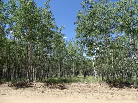 782 Bowstring Rd, Como, CO 80432 photo 18