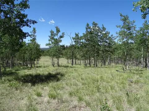 782 Bowstring Rd, Como, CO 80432