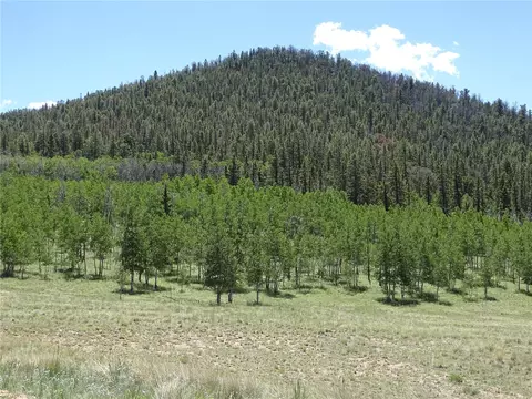 782 Bowstring Rd, Como, CO 80432 photo 22